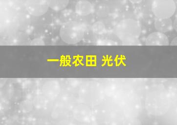 一般农田 光伏